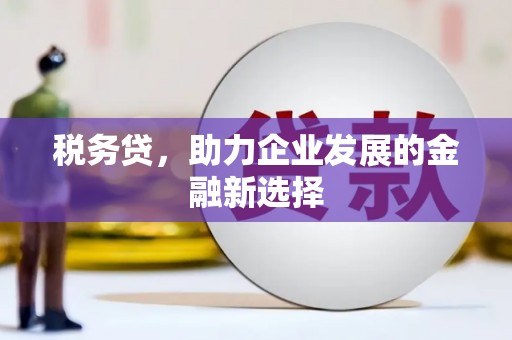 北关税务贷，助力企业发展的金融新选择