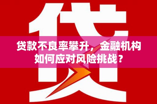 北关贷款不良率攀升，金融机构如何应对风险挑战？
