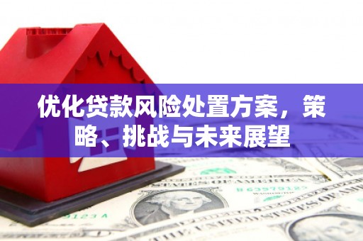 北关优化贷款风险处置方案，策略、挑战与未来展望