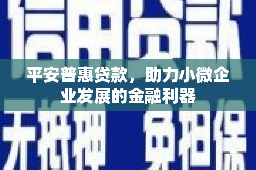 北关平安普惠贷款，助力小微企业发展的金融利器