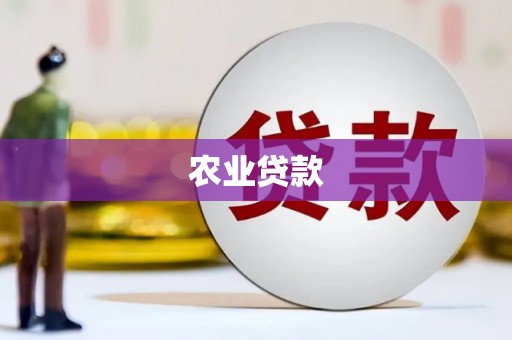 北关农业贷款