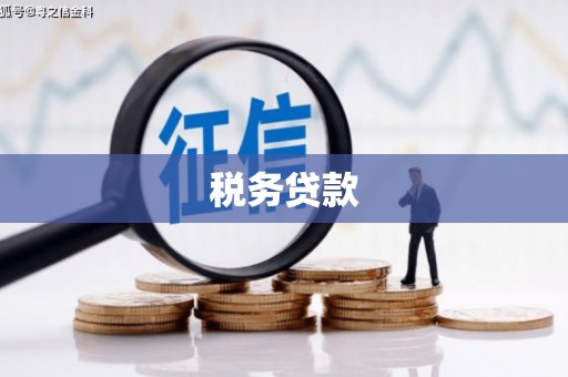 北关税务贷款