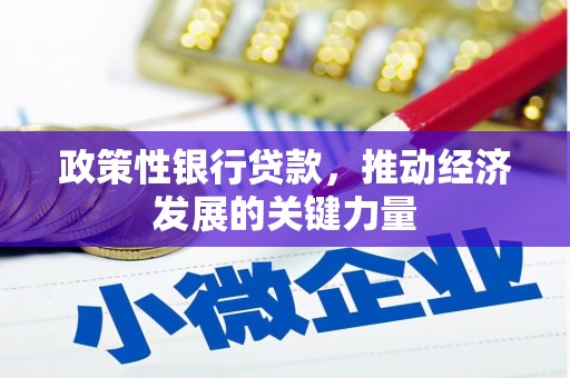 北关政策性银行贷款，推动经济发展的关键力量
