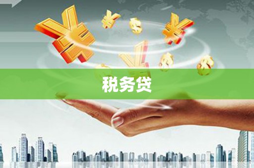 北关税务贷