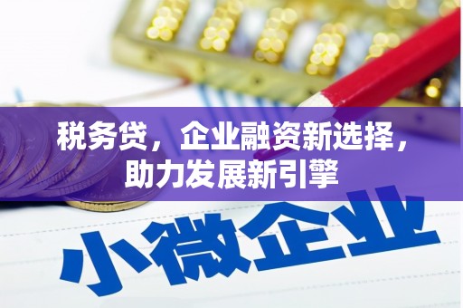 北关税务贷，企业融资新选择，助力发展新引擎