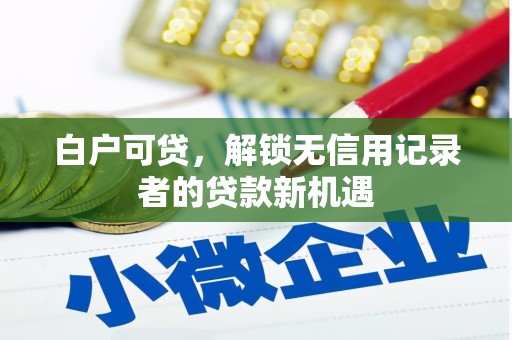北关白户可贷，解锁无信用记录者的贷款新机遇