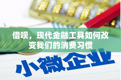 北关借呗，现代金融工具如何改变我们的消费习惯