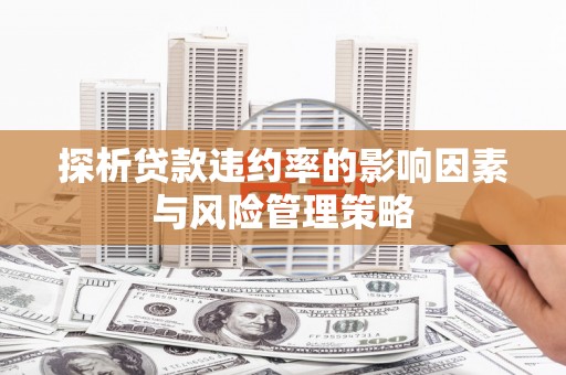 北关探析贷款违约率的影响因素与风险管理策略