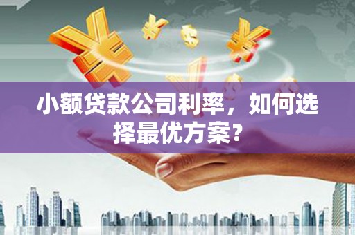 北关小额贷款公司利率，如何选择最优方案？