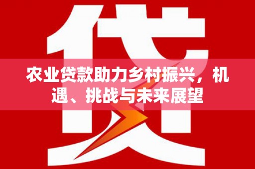 北关农业贷款助力乡村振兴，机遇、挑战与未来展望
