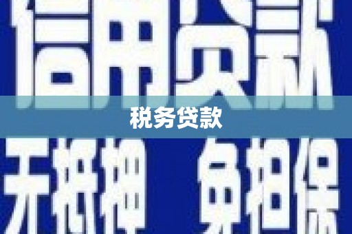 北关税务贷款