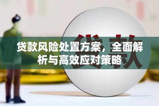 北关贷款风险处置方案，全面解析与高效应对策略