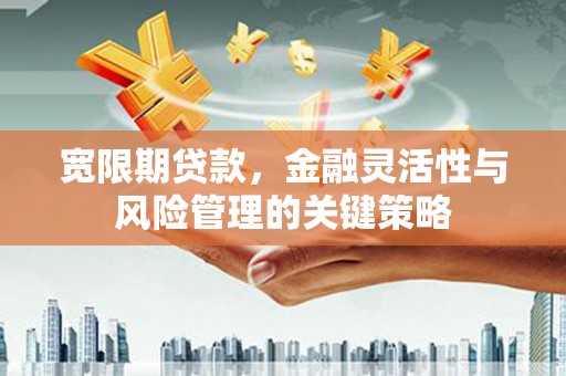 北关宽限期贷款，金融灵活性与风险管理的关键策略