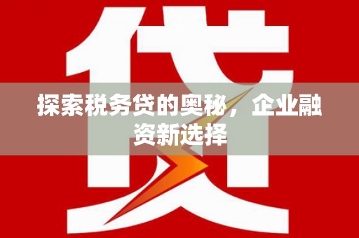 北关探索税务贷的奥秘，企业融资新选择