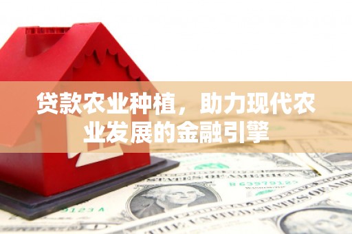 北关贷款农业种植，助力现代农业发展的金融引擎