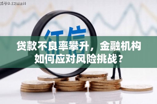 北关贷款不良率攀升，金融机构如何应对风险挑战？