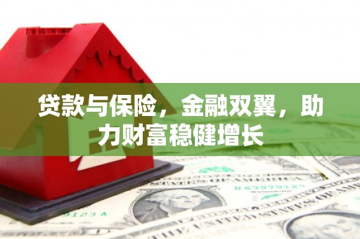 北关贷款与保险，金融双翼，助力财富稳健增长