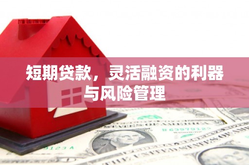 北关短期贷款，灵活融资的利器与风险管理