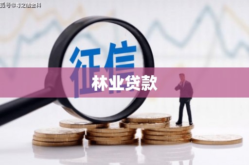 北关林业贷款