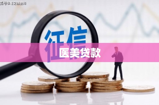 北关医美贷款