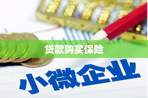 北关贷款购买保险