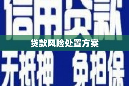 北关贷款风险处置方案