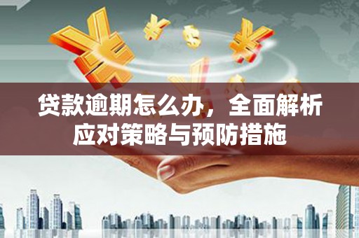 北关贷款逾期怎么办，全面解析应对策略与预防措施