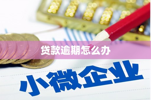 北关贷款逾期怎么办