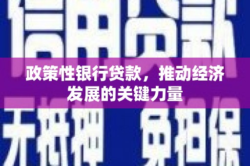 北关政策性银行贷款，推动经济发展的关键力量
