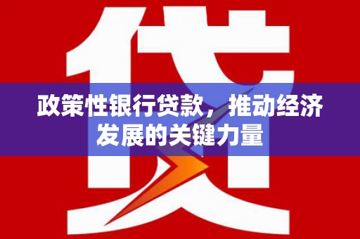 北关政策性银行贷款，推动经济发展的关键力量
