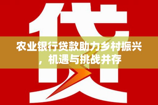 北关农业银行贷款助力乡村振兴，机遇与挑战并存