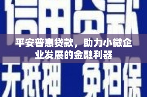 北关平安普惠贷款，助力小微企业发展的金融利器