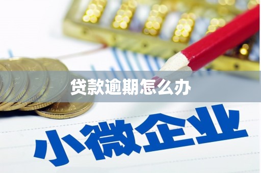 北关贷款逾期怎么办