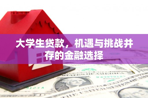 北关大学生贷款，机遇与挑战并存的金融选择