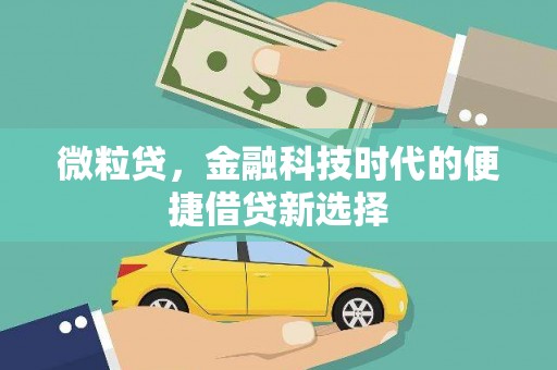 北关微粒贷，金融科技时代的便捷借贷新选择