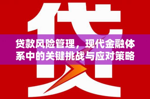 北关贷款风险管理，现代金融体系中的关键挑战与应对策略