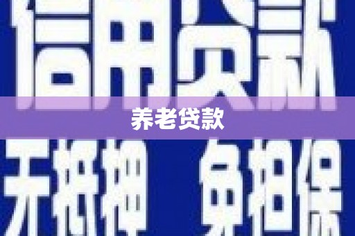 北关养老贷款