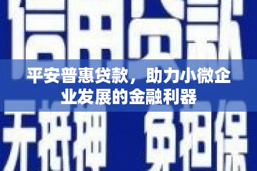 北关平安普惠贷款，助力小微企业发展的金融利器