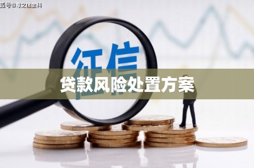 北关贷款风险处置方案