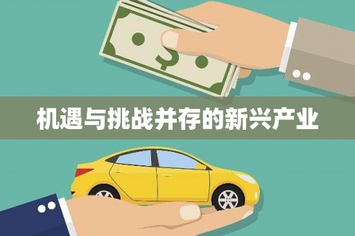 北关机遇与挑战并存的新兴产业