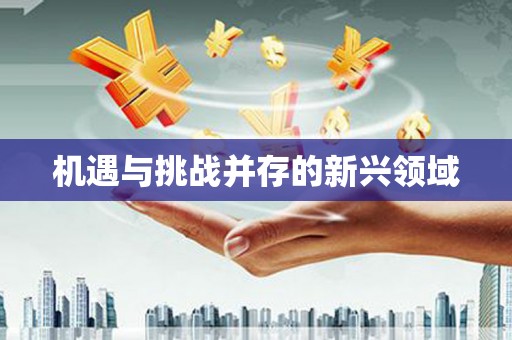 北关机遇与挑战并存的新兴领域