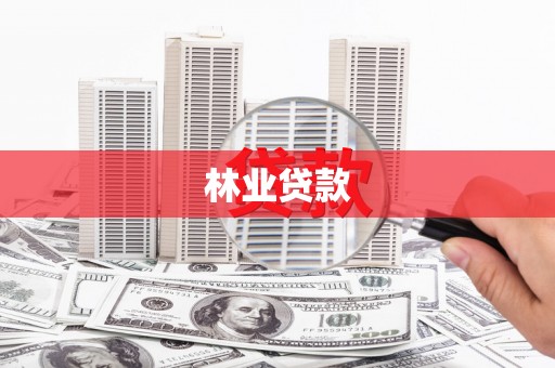 北关林业贷款