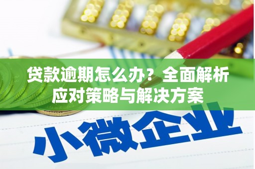 北关贷款逾期怎么办？全面解析应对策略与解决方案