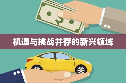 北关机遇与挑战并存的新兴领域