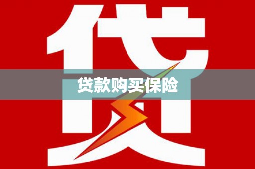 北关贷款购买保险