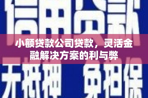北关小额贷款公司贷款，灵活金融解决方案的利与弊