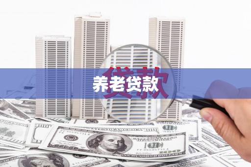 北关养老贷款