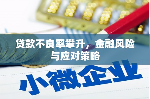 北关贷款不良率攀升，金融风险与应对策略